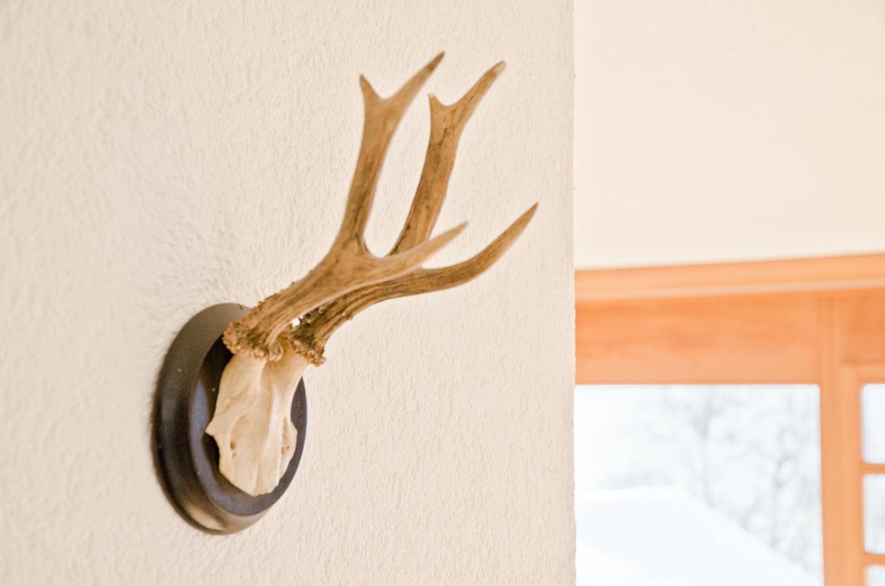 Apartment Matterhorn - Griwa Rent Ag Grindelwald Bagian luar foto